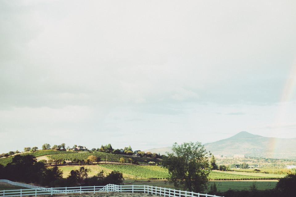 Vineyard Farm
