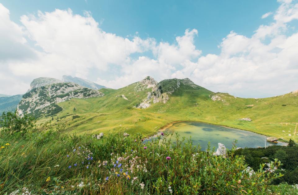 Nature Landscape