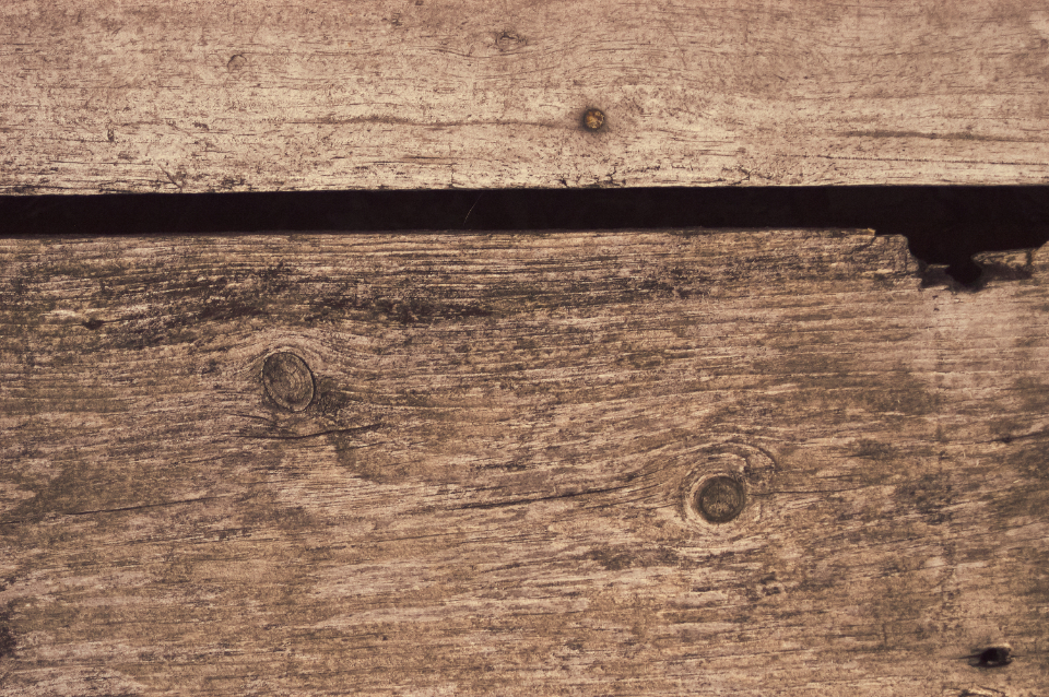 Wood Texture