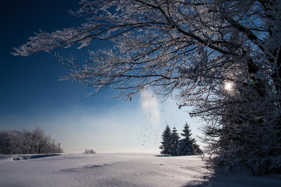 Snow Winter