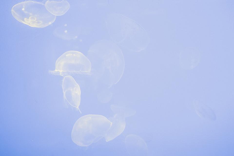 Blue Water