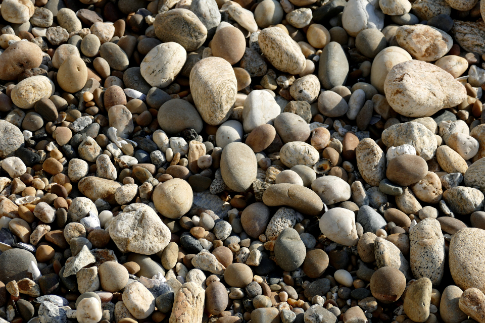 Beach Rocks