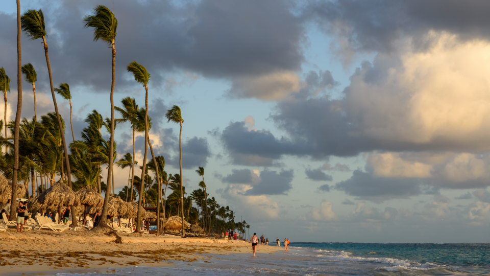 Tropical Beach