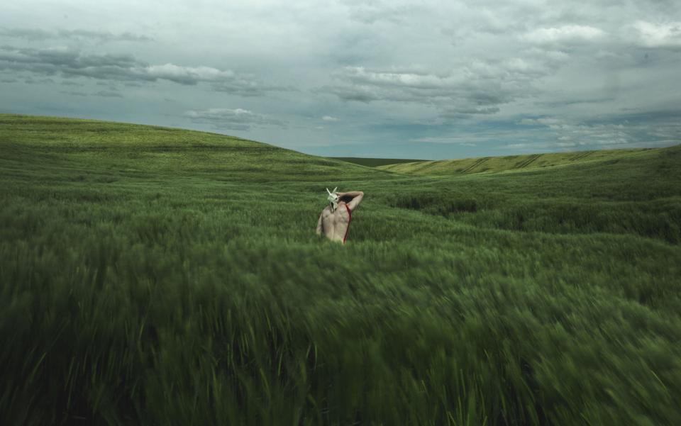 Nature Landscape