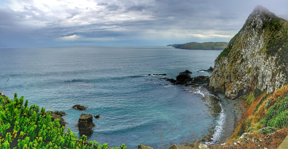Coastal Landscape