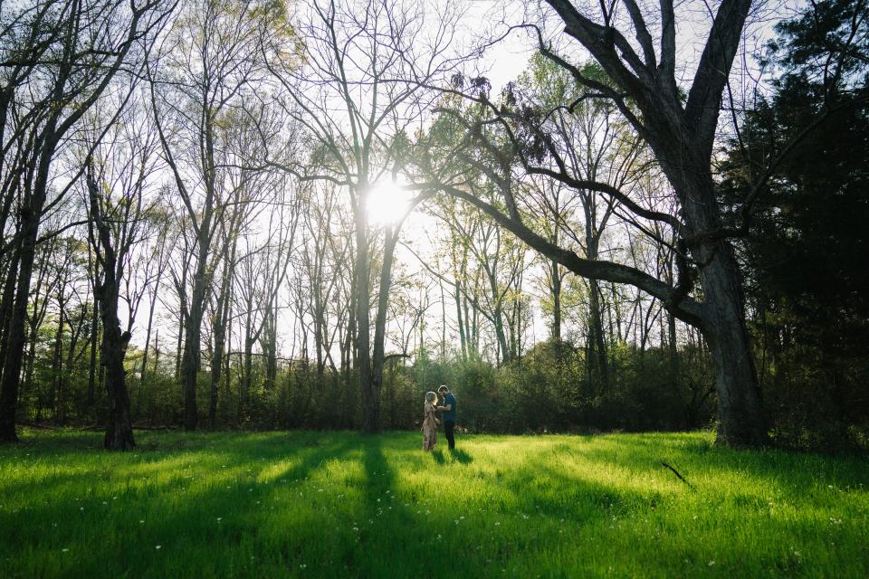 Green Grass