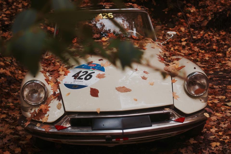 Car Vehicle