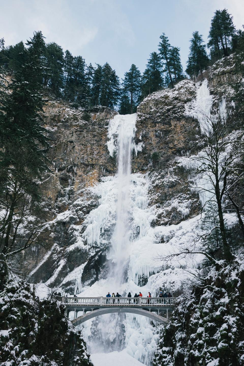 Snow Winter