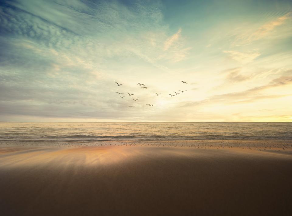Sea Ocean
