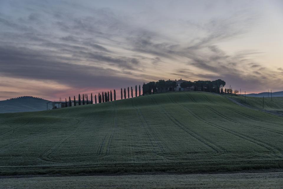Nature Landscape