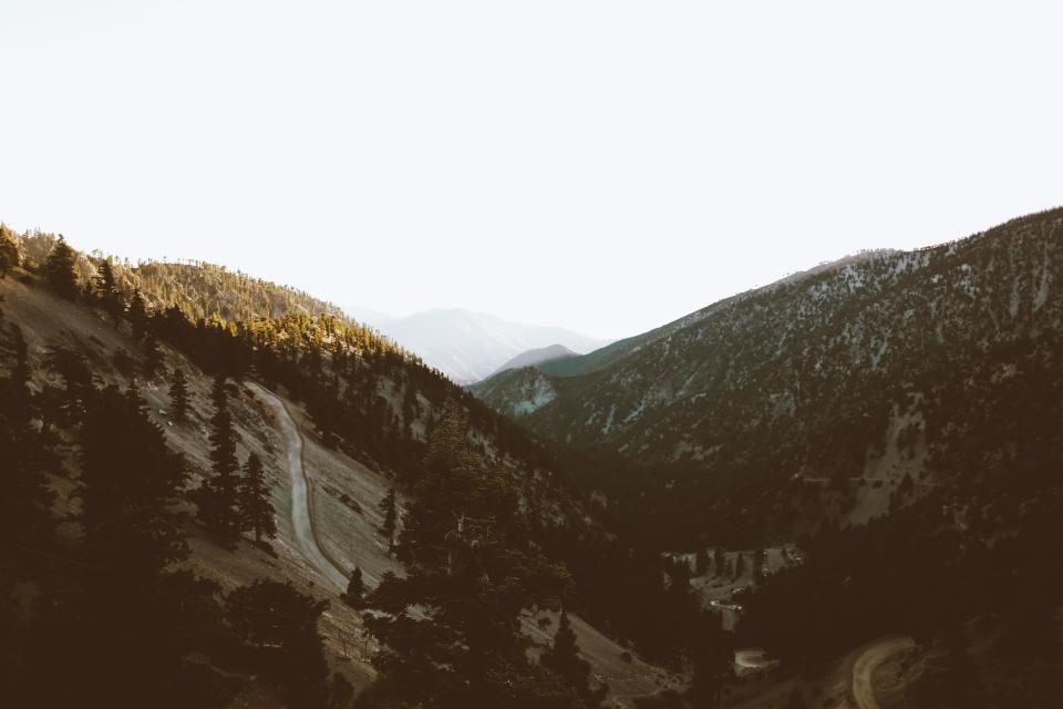 Nature Landscape