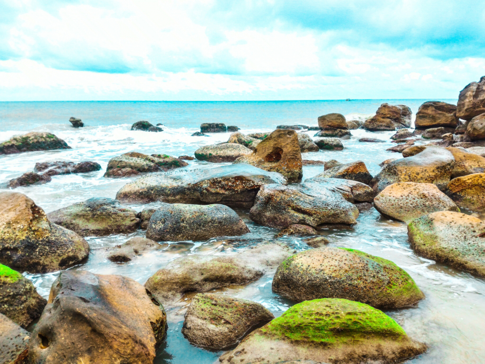 Sea Rocks