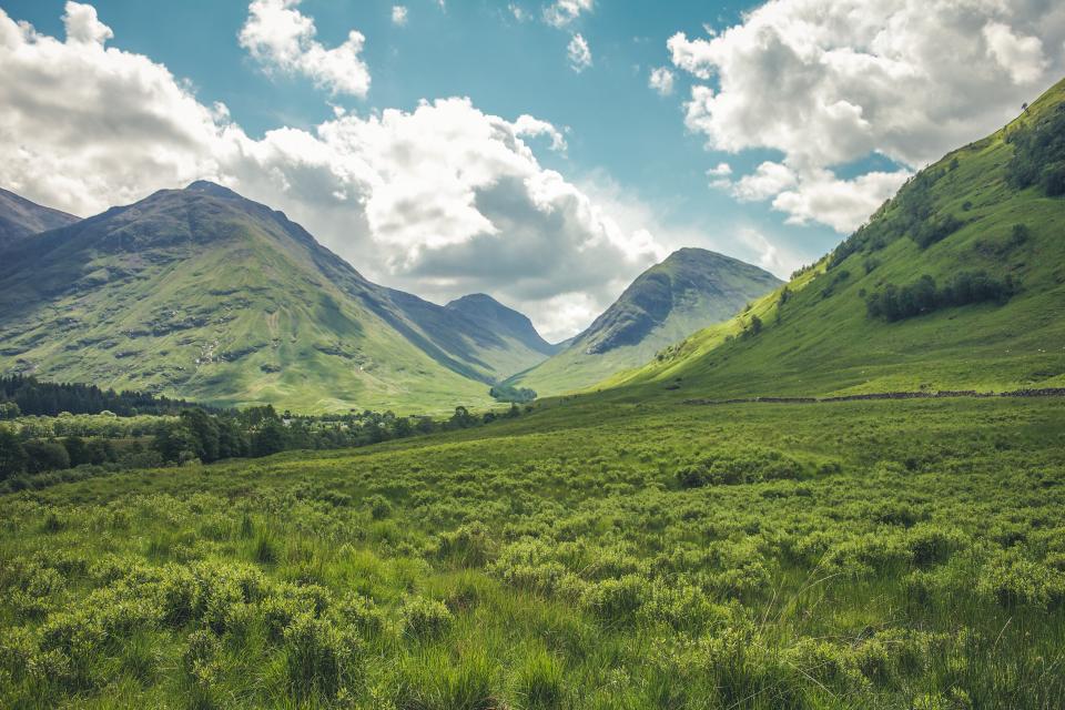 Nature Landscape