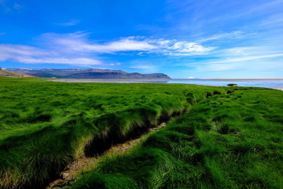 Beautiful Landscape