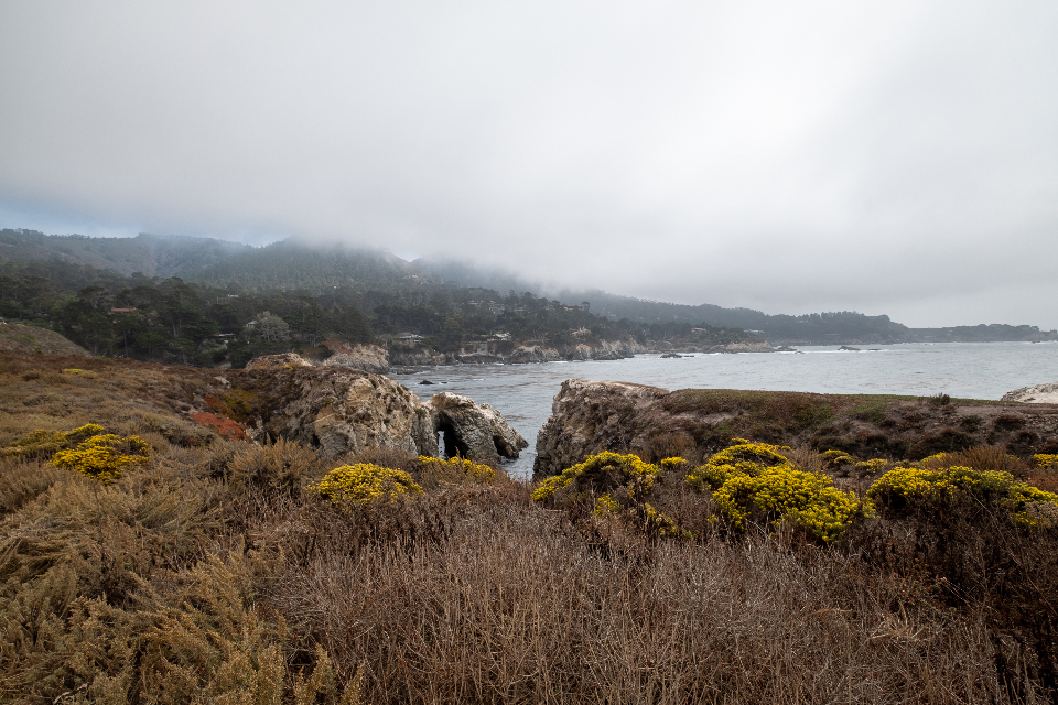 Coastal Landscape