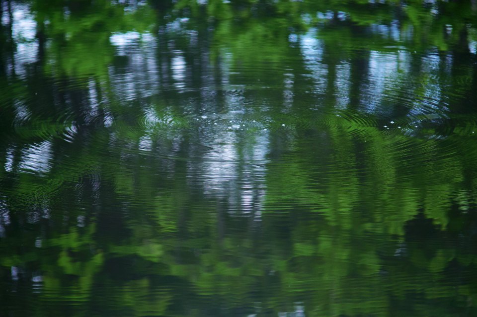 Splashing Pond