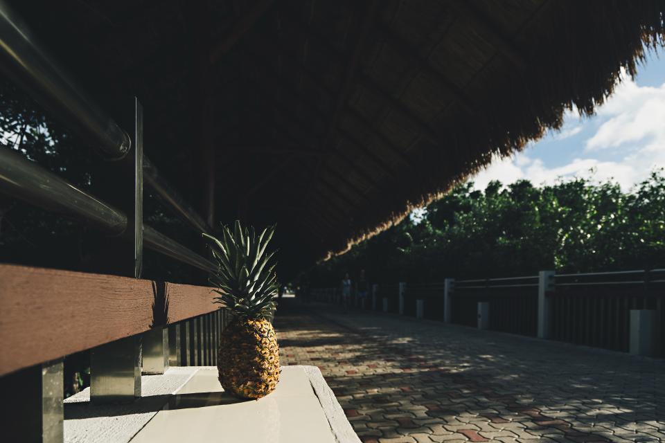 Pineapple Dessert
