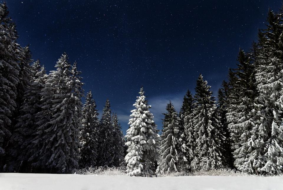 Nature Landscape