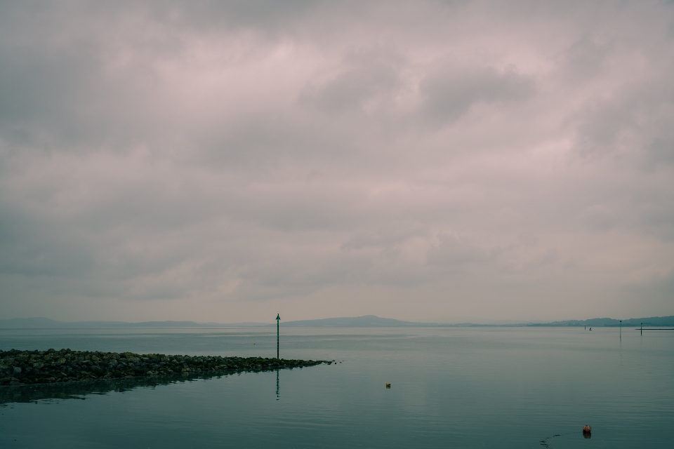 Fog Water