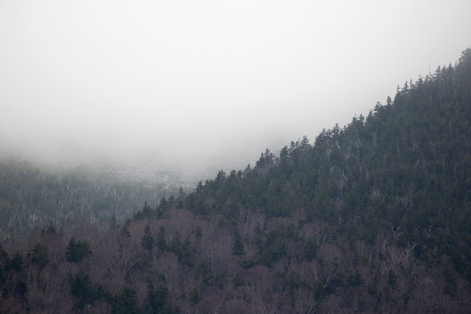 Fog Mountain