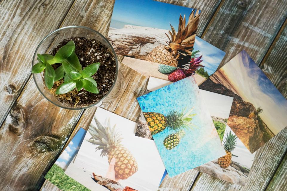 Pineapple Photo