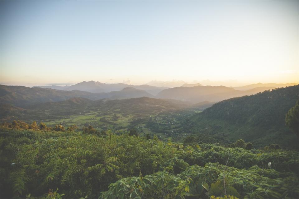 Landscape Green
