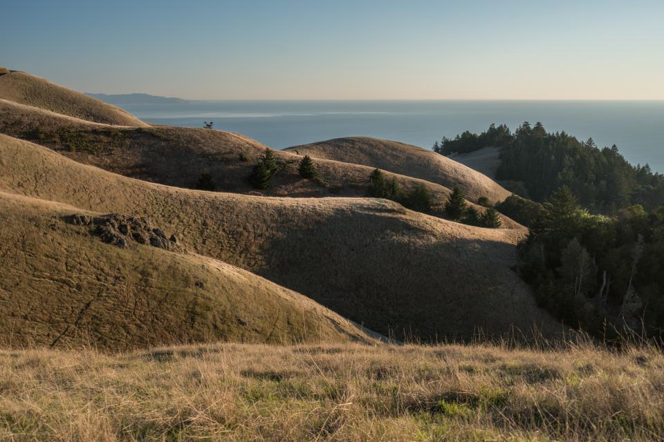 Nature Landscape