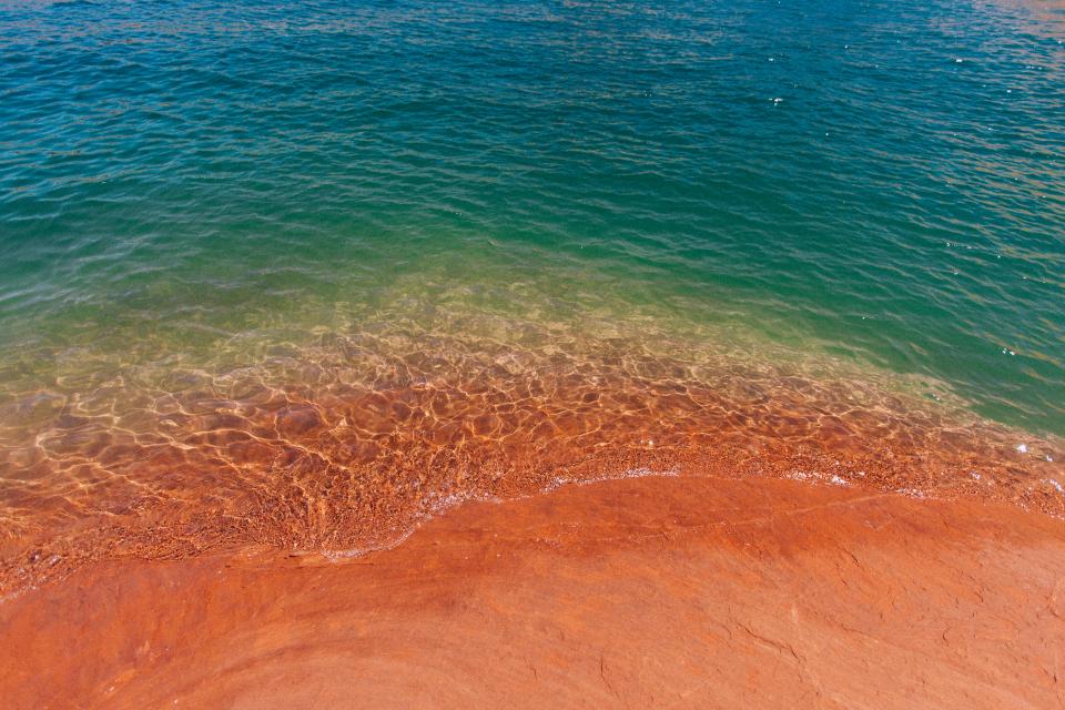 Nature Coast