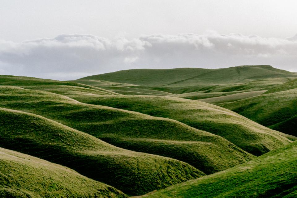 Nature Green