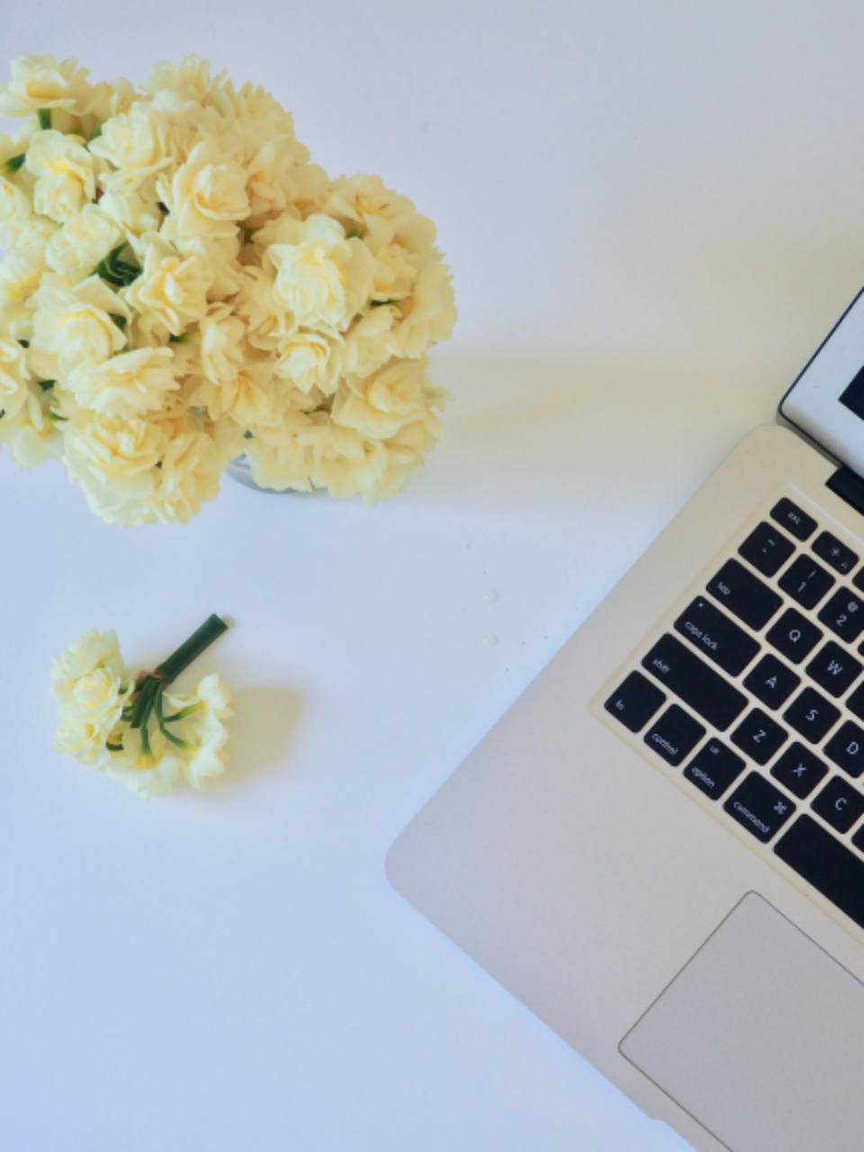 Macbook White
