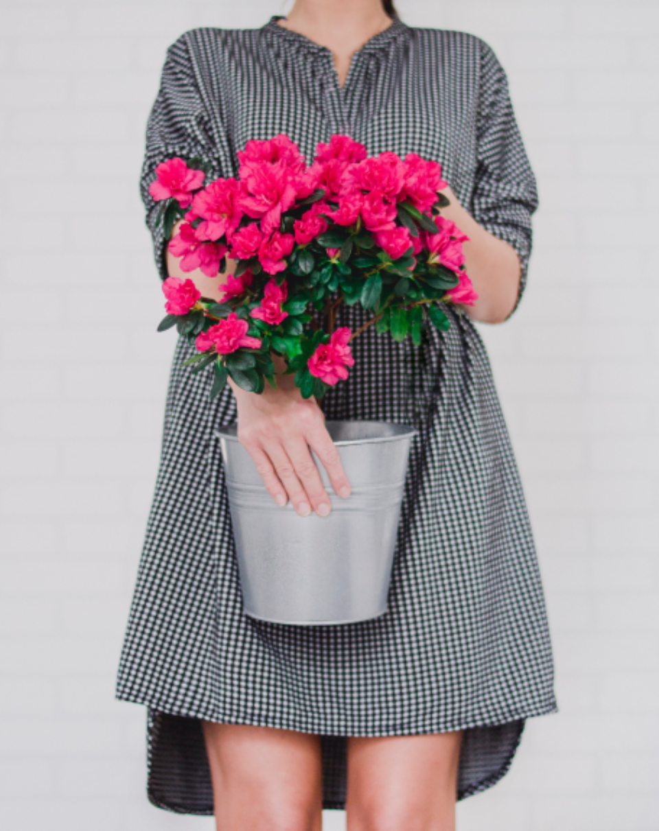 Woman Pink