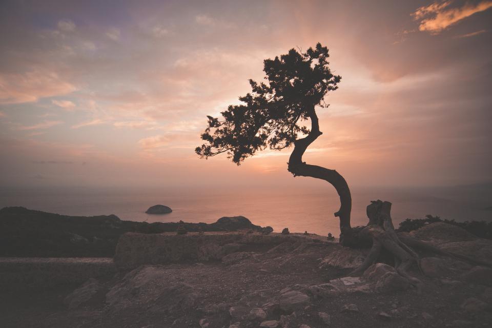 Nature Landscape
