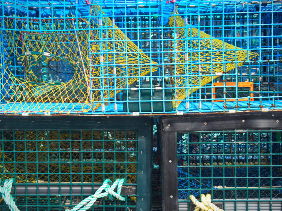 Lobster Traps