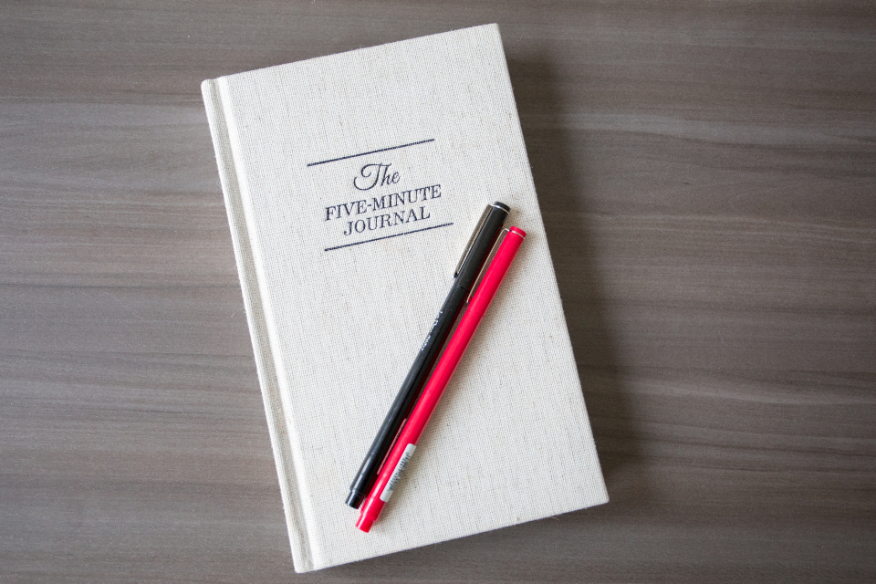 Journal Pen