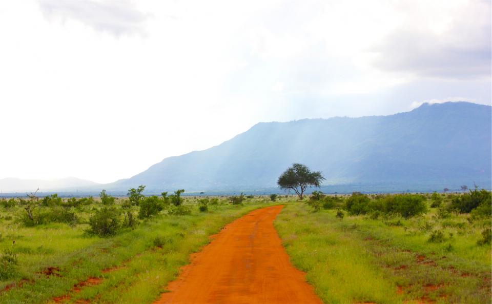 Dirt Road
