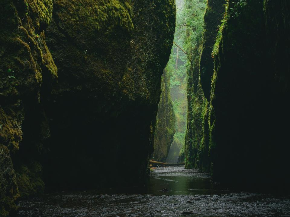 Nature Rock
