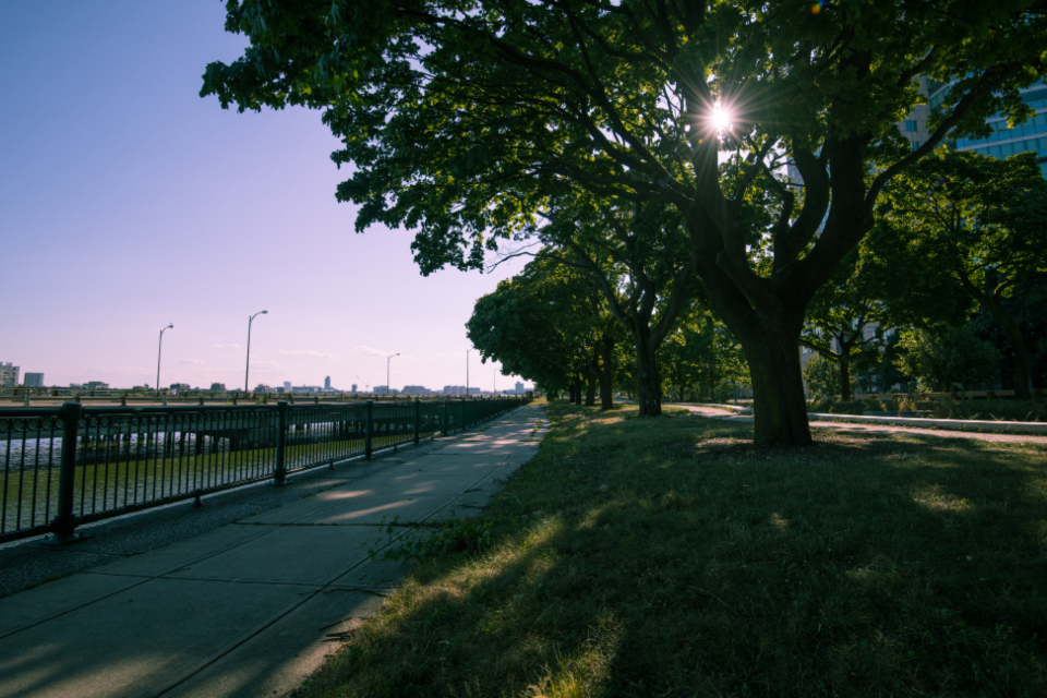 City Park