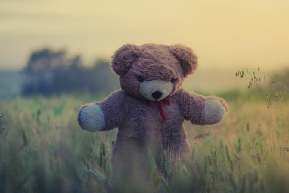 Teddy Bear Toy