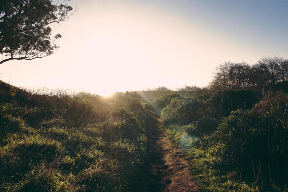 Trail Path