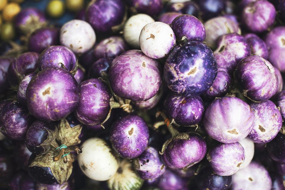 Violet Eggplant