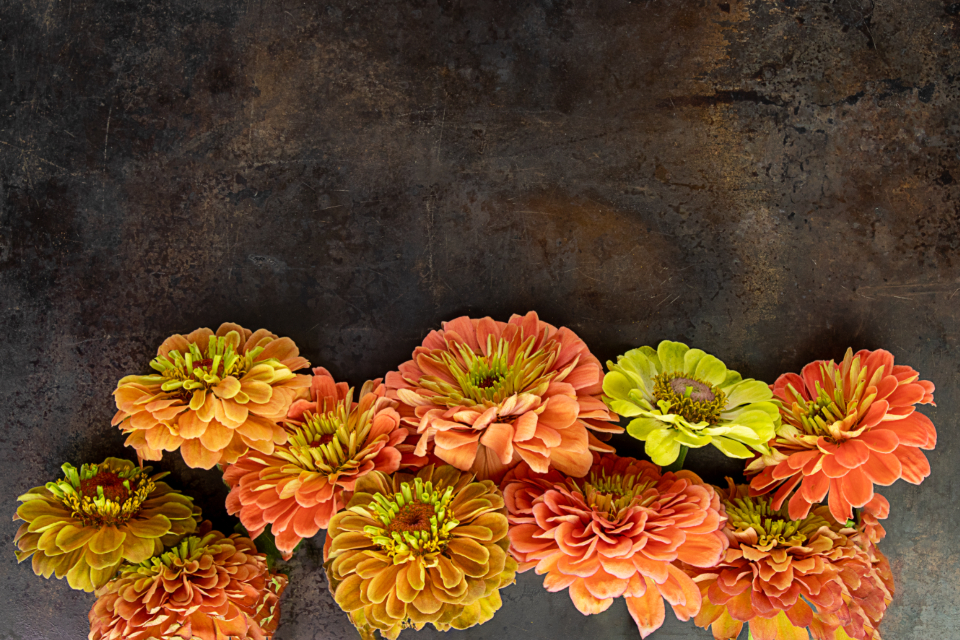 Flowers Floral