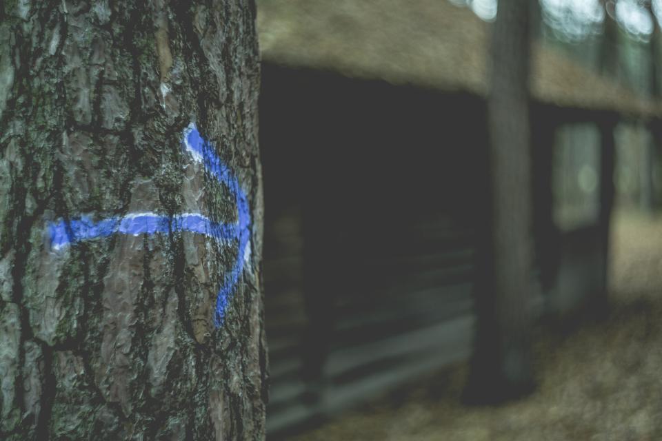 Tree Arrow