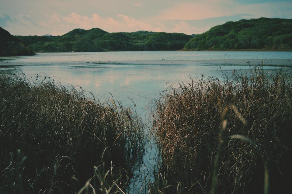 Lake Blue