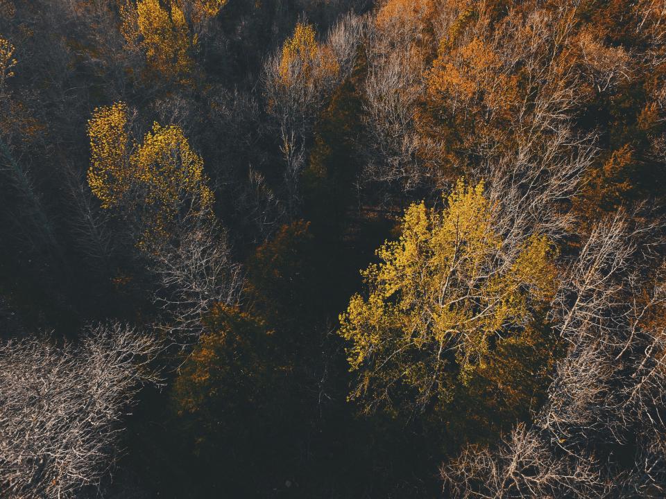 Nature Landscape