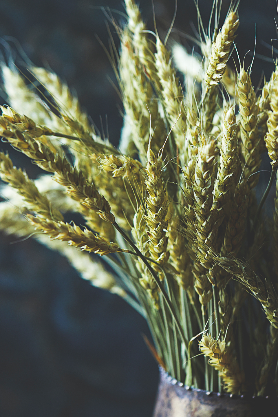 Light Wheat