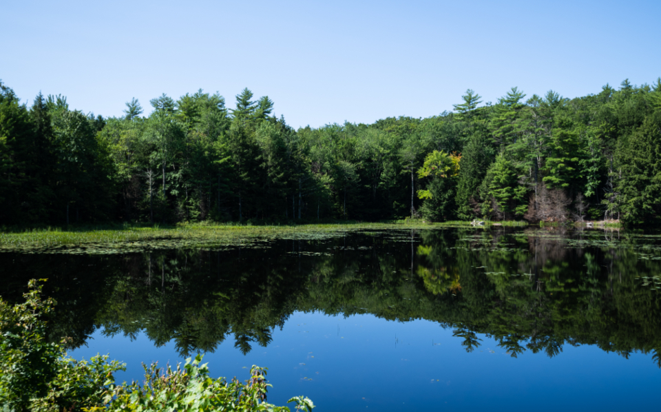 Pond Lake