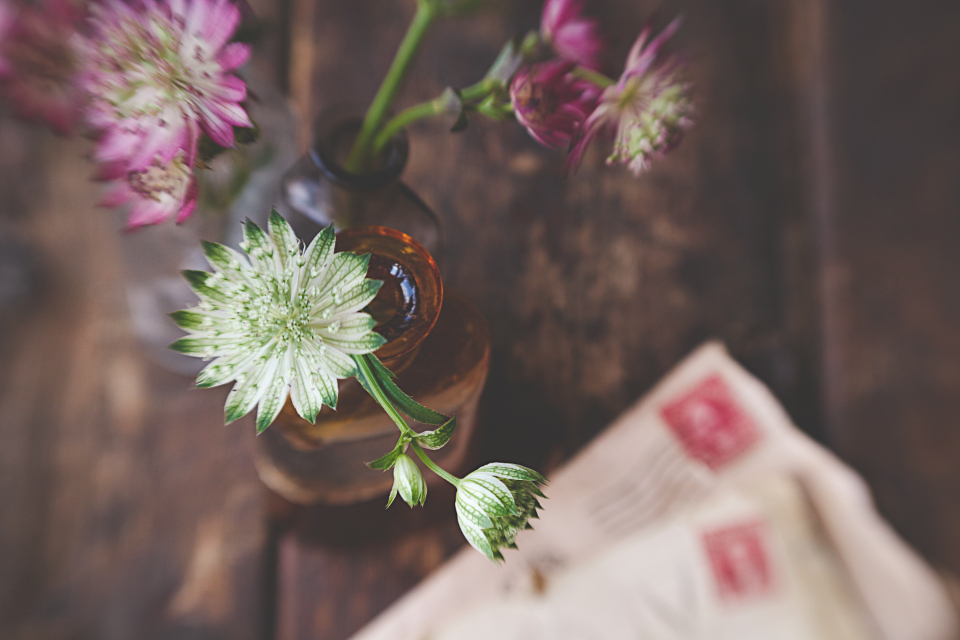 Vase Flower