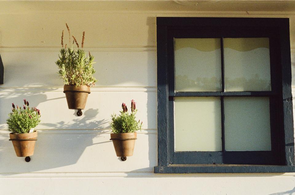 Flowers Pots