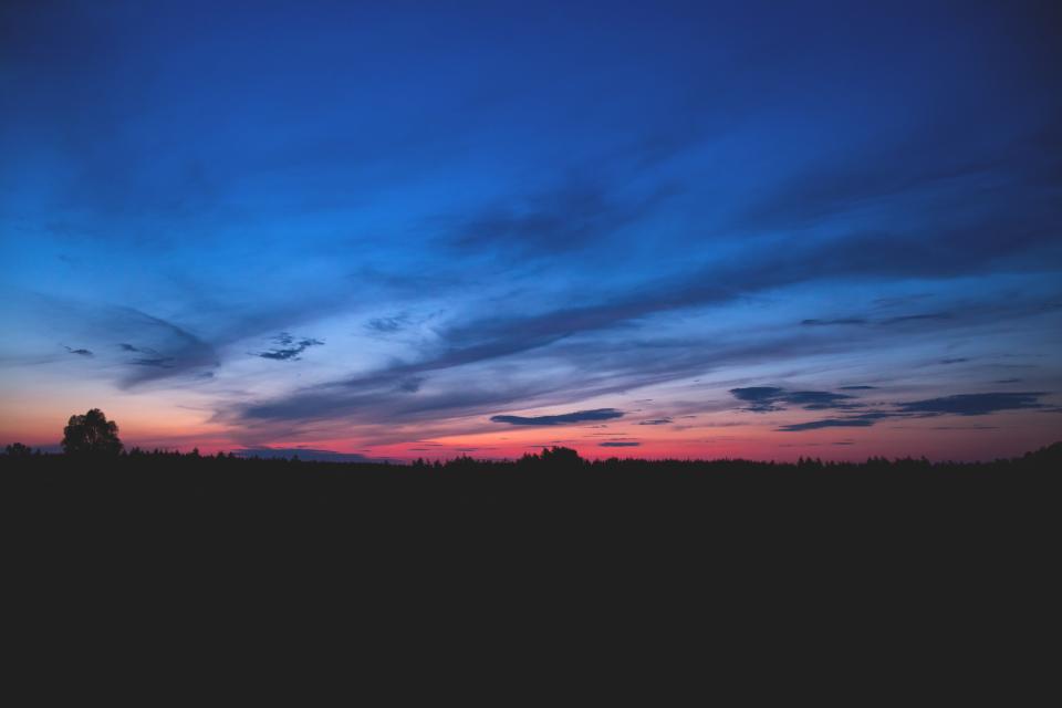 Nature Landscape