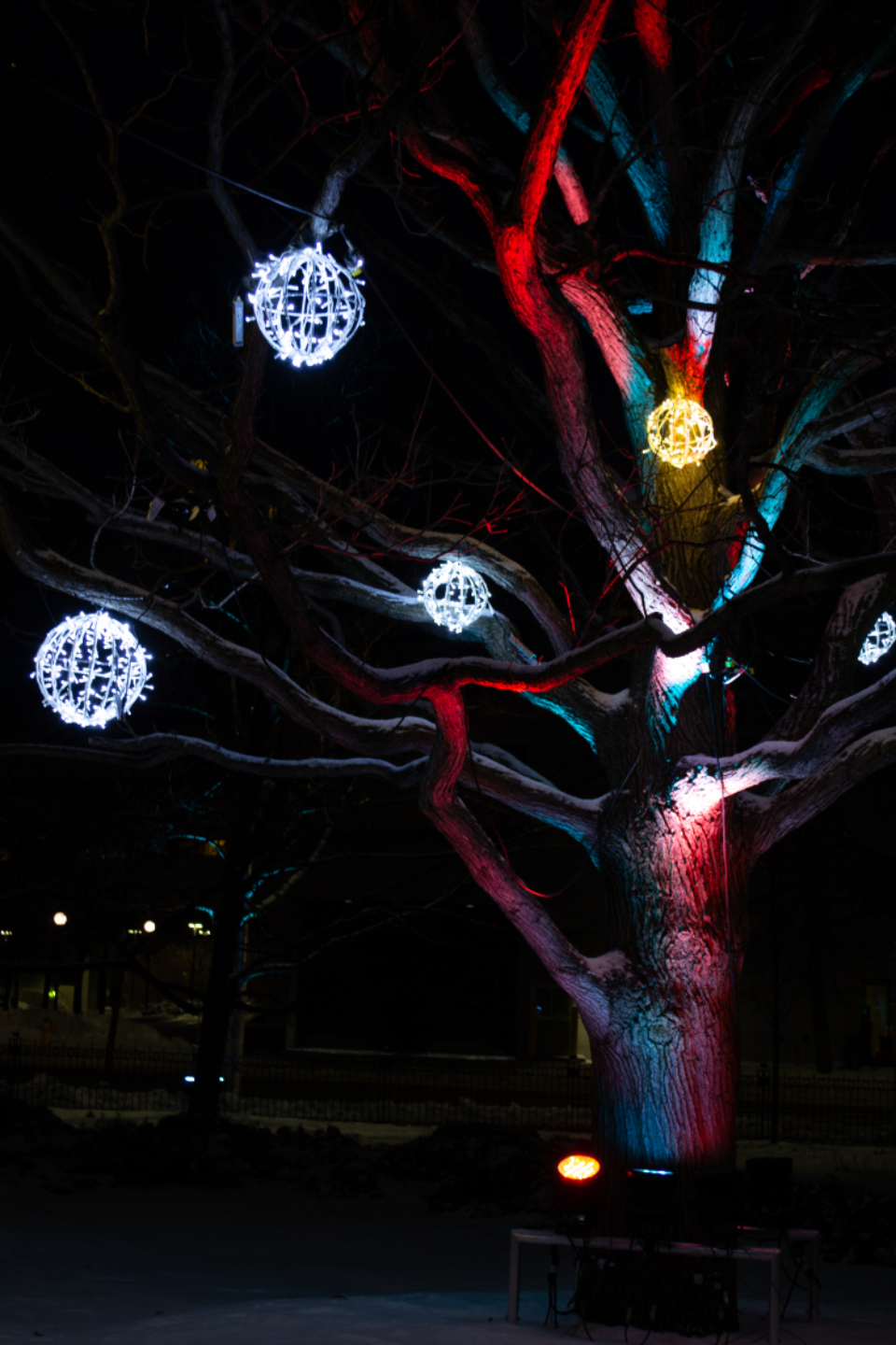 Festive Lights